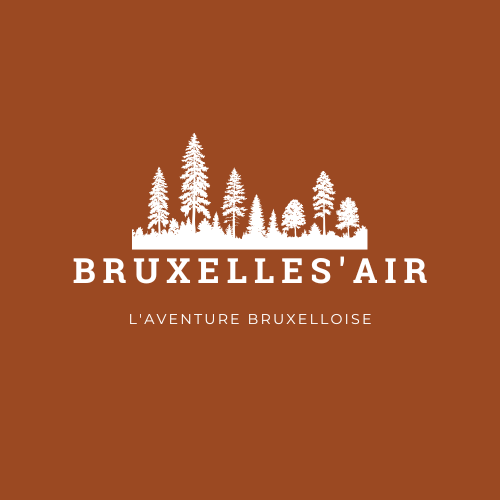 Bruxelles'air